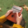 Kalimba Thumb Piano 17 Keys, Finger Piano Mbira Portable Music Instruments for Adults Beginners (Coffee Brown) Kalimba Thumb Piano 17 Keys, Finger Piano Mbira Portable Music Instruments for Adults Beginners (Coffee Brown)
