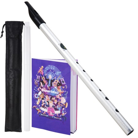 VixxNoxx Irish Tin Whistle Key of C, Penny Whistle Flute Traditional Folk instruments for Adults Beginners (Silver)