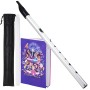 VixxNoxx Irish Tin Whistle Key of C, Penny Whistle Flute Traditional Folk instruments for Adults Beginners (Silver)