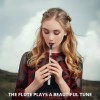 VixxNoxx Irish Tin Whistle Key of C, Penny Whistle Flute Traditional Folk instruments for Adults Beginners (Silver) VixxNoxx Irish Tin Whistle Key of C, Penny Whistle Flute Traditional Folk instruments for Adults Beginners (Silver)