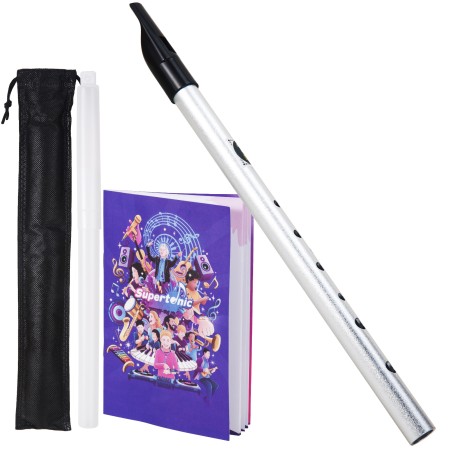 VixxNoxx Irish Tin Whistle Key of D, Penny Whistle Flute Traditional Folk instruments for Adults Beginners (Silver)