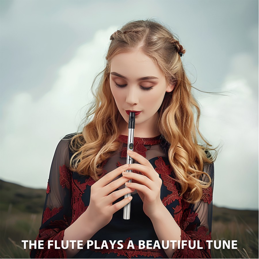 VixxNoxx Irish Tin Whistle Key of D, Penny Whistle Flute Traditional Folk instruments for Adults Beginners (Silver) VixxNoxx Irish Tin Whistle Key of D, Penny Whistle Flute Traditional Folk instruments for Adults Beginners (Silver)