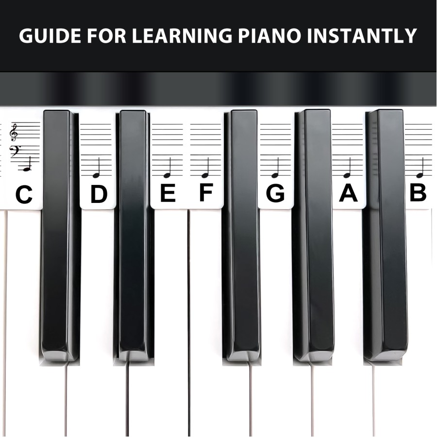 Reusable Piano Keyboard Stickers, Full Size Keyboard for 88/76/61/54/49/37 Keys, Removable Silicone Piano Key Stickers for Beginners, Piano Note Labels with Storage Box (Black) Reusable Piano Keyboard Stickers, Full Size Keyboard for 88/76/61/54/49/37 Keys, Removable Silicone Piano Key Stickers for Beginners, Piano Note Labels with Storage Box (Black)