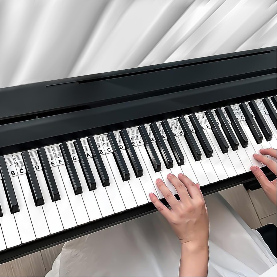 Reusable Piano Keyboard Stickers, Full Size Keyboard for 88/76/61/54/49/37 Keys, Removable Silicone Piano Key Stickers for Beginners, Piano Note Labels with Storage Box (Black) Reusable Piano Keyboard Stickers, Full Size Keyboard for 88/76/61/54/49/37 Keys, Removable Silicone Piano Key Stickers for Beginners, Piano Note Labels with Storage Box (Black)