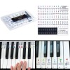 Reusable Piano Keyboard Stickers, Full Size Keyboard for 88/76/61/54/49/37 Keys, Removable Silicone Piano Key Stickers for Beginners, Piano Note Labels with Storage Box (Colorful) Reusable Piano Keyboard Stickers, Full Size Keyboard for 88/76/61/54/49/37 Keys, Removable Silicone Piano Key Stickers for Beginners, Piano Note Labels with Storage Box (Colorful)
