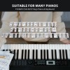Reusable Piano Keyboard Stickers, Full Size Keyboard for 88/76/61/54/49/37 Keys, Removable Silicone Piano Key Stickers for Beginners, Piano Note Labels with Storage Box (Colorful) Reusable Piano Keyboard Stickers, Full Size Keyboard for 88/76/61/54/49/37 Keys, Removable Silicone Piano Key Stickers for Beginners, Piano Note Labels with Storage Box (Colorful)