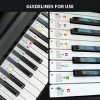 Reusable Piano Keyboard Stickers, Full Size Keyboard for 88/76/61/54/49/37 Keys, Removable Silicone Piano Key Stickers for Beginners, Piano Note Labels with Storage Box (Colorful) Reusable Piano Keyboard Stickers, Full Size Keyboard for 88/76/61/54/49/37 Keys, Removable Silicone Piano Key Stickers for Beginners, Piano Note Labels with Storage Box (Colorful)