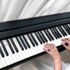 Reusable Piano Keyboard Stickers, Full Size Keyboard for 88/76/61/54/49/37 Keys, Removable Silicone Piano Key Stickers for Beginners, Piano Note Labels with Storage Box (Colorful) Reusable Piano Keyboard Stickers, Full Size Keyboard for 88/76/61/54/49/37 Keys, Removable Silicone Piano Key Stickers for Beginners, Piano Note Labels with Storage Box (Colorful)