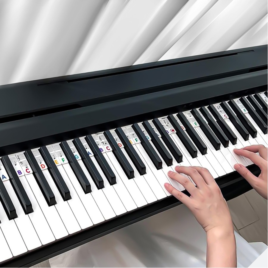 Reusable Piano Keyboard Stickers, Full Size Keyboard for 88/76/61/54/49/37 Keys, Removable Silicone Piano Key Stickers for Beginners, Piano Note Labels with Storage Box (Colorful) Reusable Piano Keyboard Stickers, Full Size Keyboard for 88/76/61/54/49/37 Keys, Removable Silicone Piano Key Stickers for Beginners, Piano Note Labels with Storage Box (Colorful)